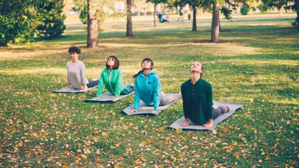 A group of adults doing yoga outdoors on a sunny day in a lush park.